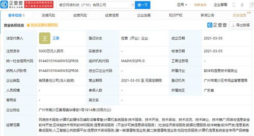 碧桂園跨界布局科技領域，廣州新設公司聚焦區塊鏈與網絡安全